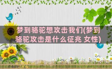 梦到骆驼想攻击我们(梦到骆驼攻击是什么征兆 女性)